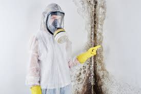 Best Emergency Mold Remediation  in Artesia, NM